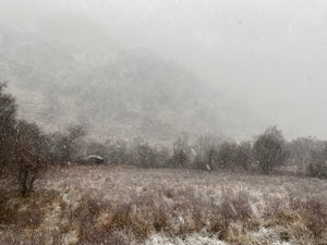 Barra who?  Sorry, I don’t know him.  My four top tips if you’re planning to climb a mountain in a snowstorm.